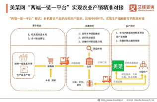 2019中国生鲜电商行业商业模式与用户画像分析报告 线上生鲜消费主力军为80 90后