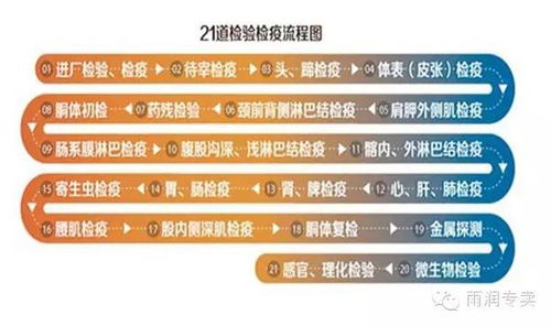 食品安全 雨润在行动│ 二十一道检验 检疫体系