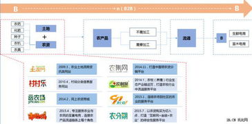 托比研究 互联网 农业 b2b 行业报告 2015