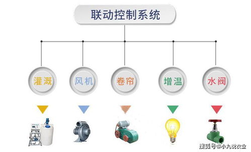福建温室大棚远程测控系统,智能管理,随时随地查看环境参数,农产品溯源系统