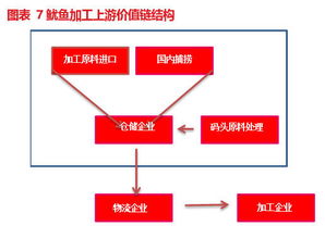 东霖食品 834020 深耕鱿鱼领域,打造全球水产品产业链体系丨价值大赛优秀研报